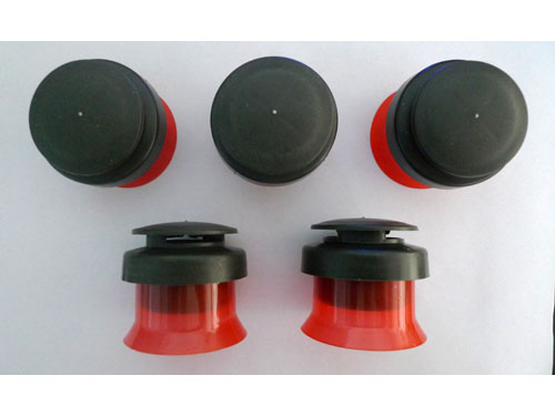 杏鮑菇三件套 杏鮑菇三件套